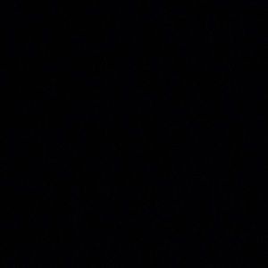 Meet your Posher, Bradley